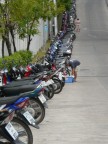 motorcycle lineup.JPG (87 KB)